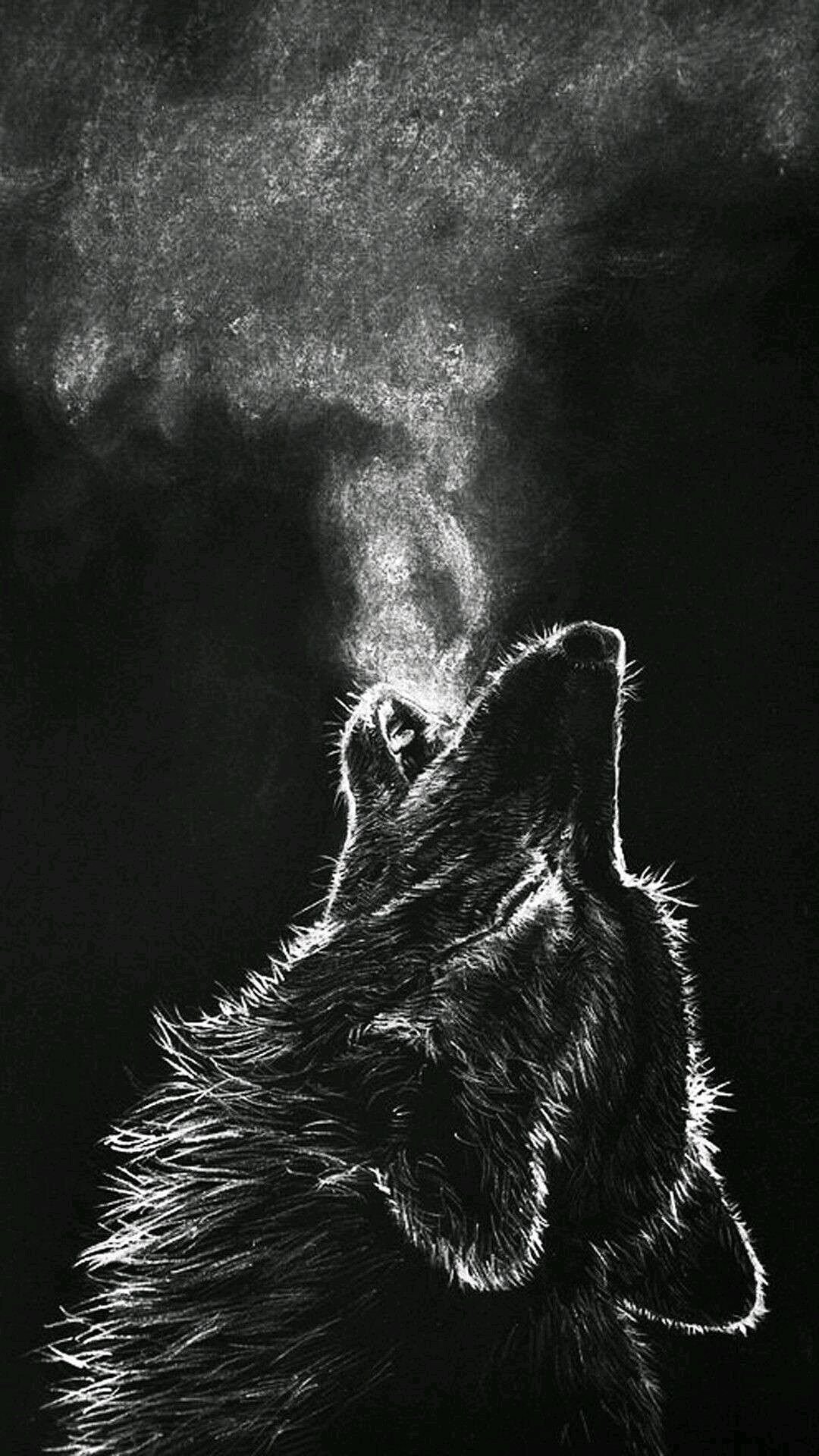 Black Wolf Howling