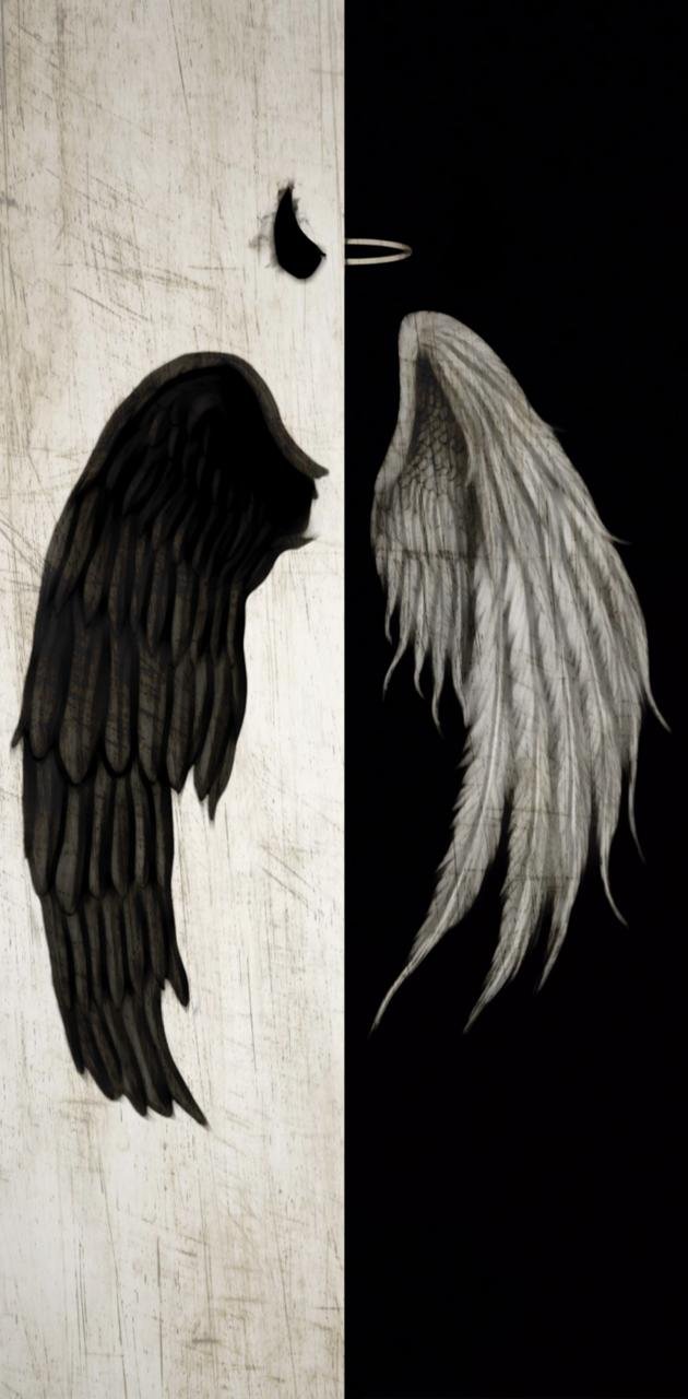 Wallpaper black wings, demon angel, artwork, fantasy desktop wallpaper, hd  image, picture, background, a47f1c | wallpapersmug