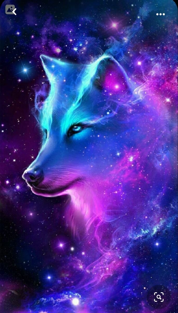 Download Cool Inky Galaxy With Howling Wolf Wallpaper  Wallpaperscom