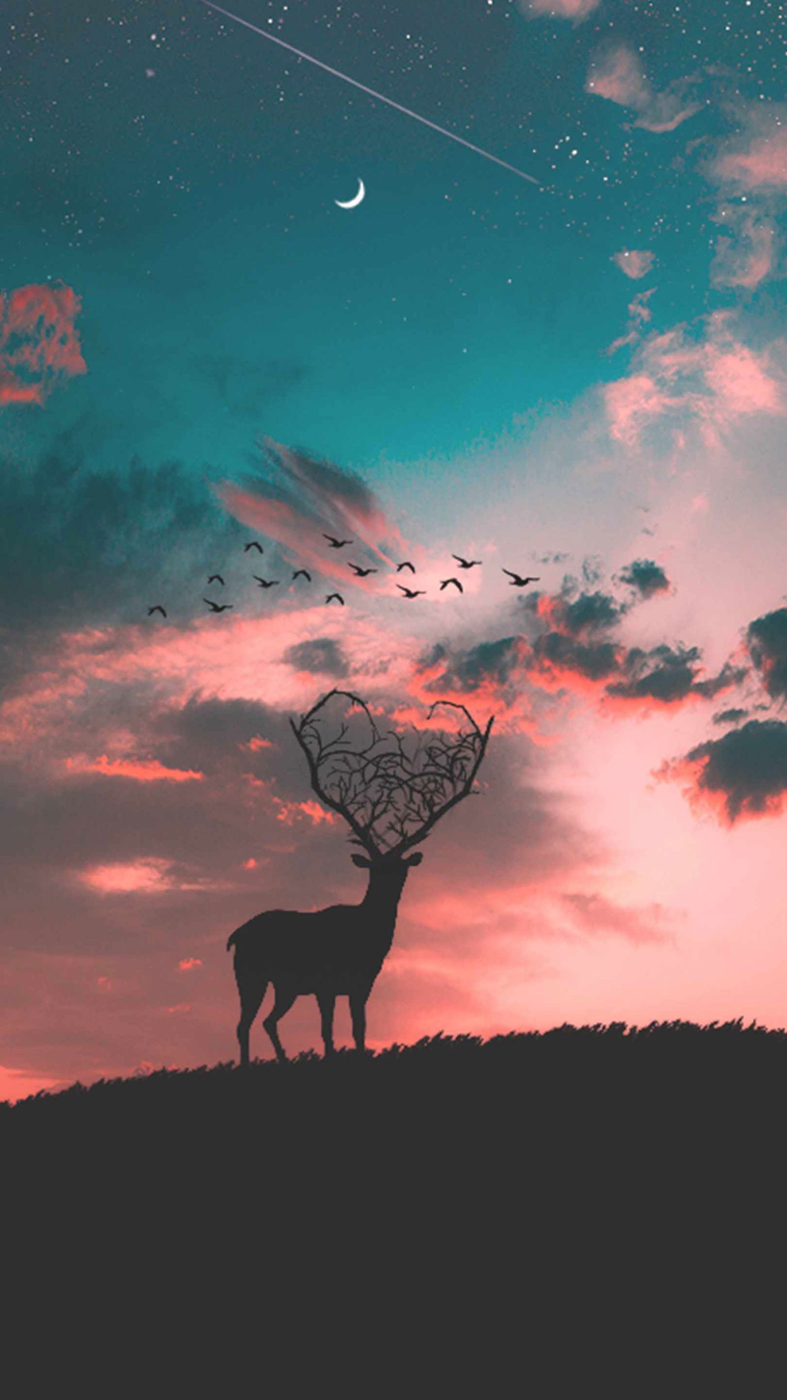 Silhouette Deer Sunset