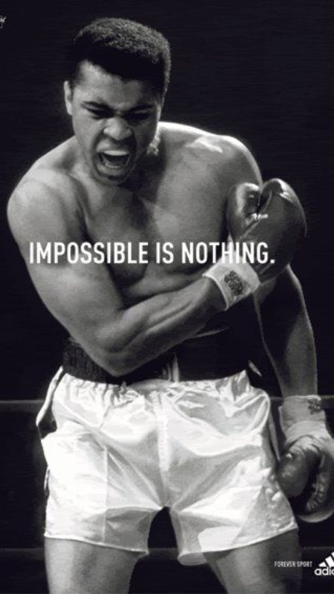 Impossible Is Nothing Wallpaper Download | MobCup