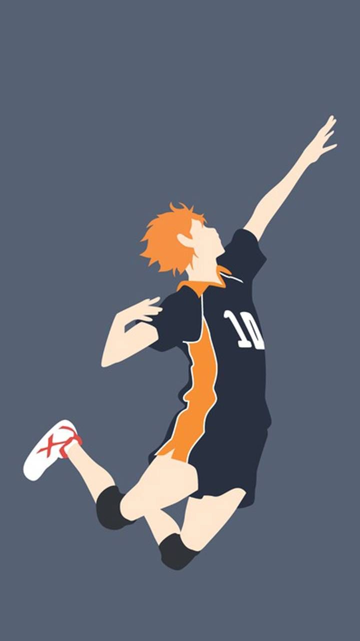 Volleyball aesthetic HD phone wallpaper  Pxfuel