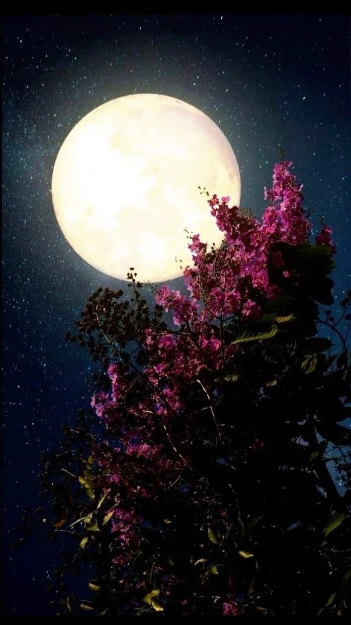 Beautiful moon