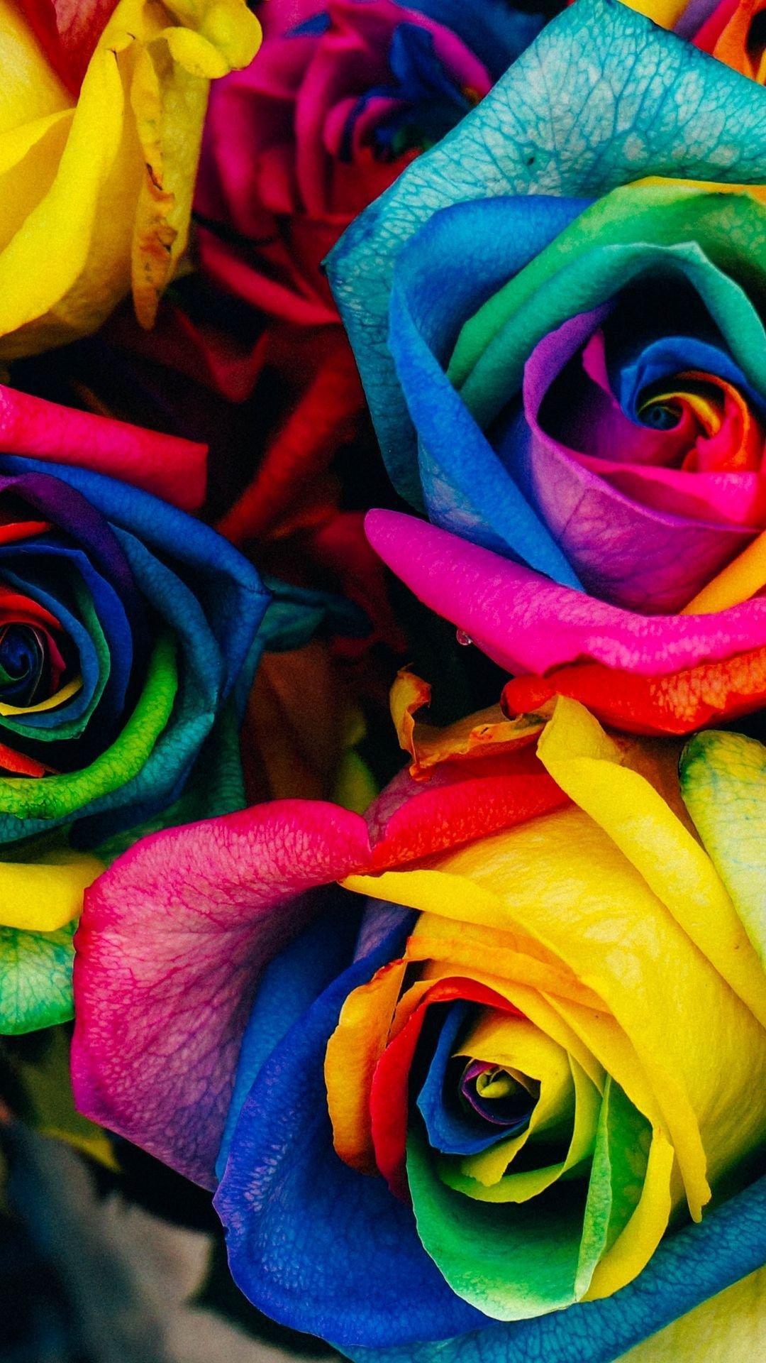 Colorful Flowers Wallpapers on WallpaperDog