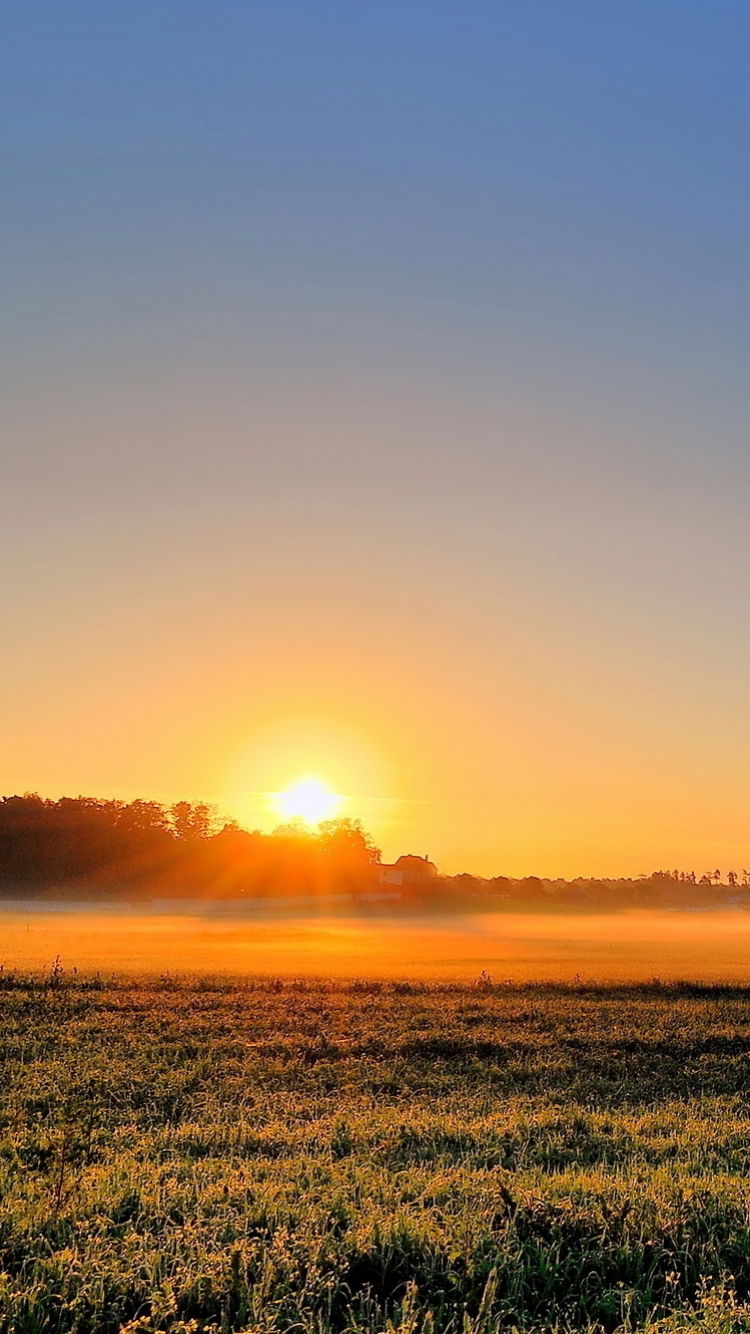 Nature Sunrise