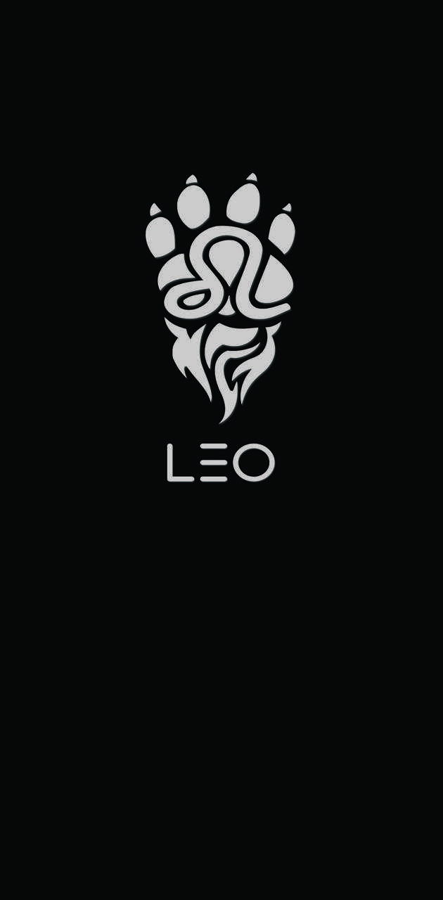 Cute leo HD wallpapers  Pxfuel