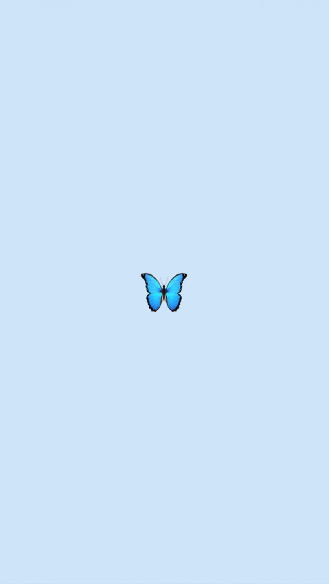 Aesthetic Butterfly Wallpaper Download  MobCup