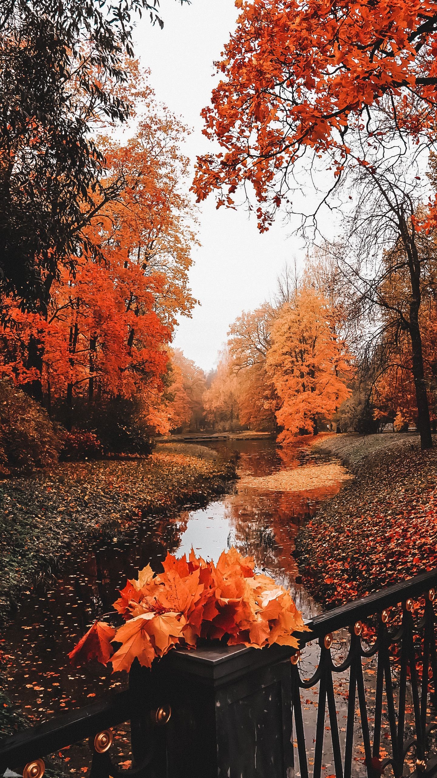 Aesthetic fall Wallpapers Download | MobCup