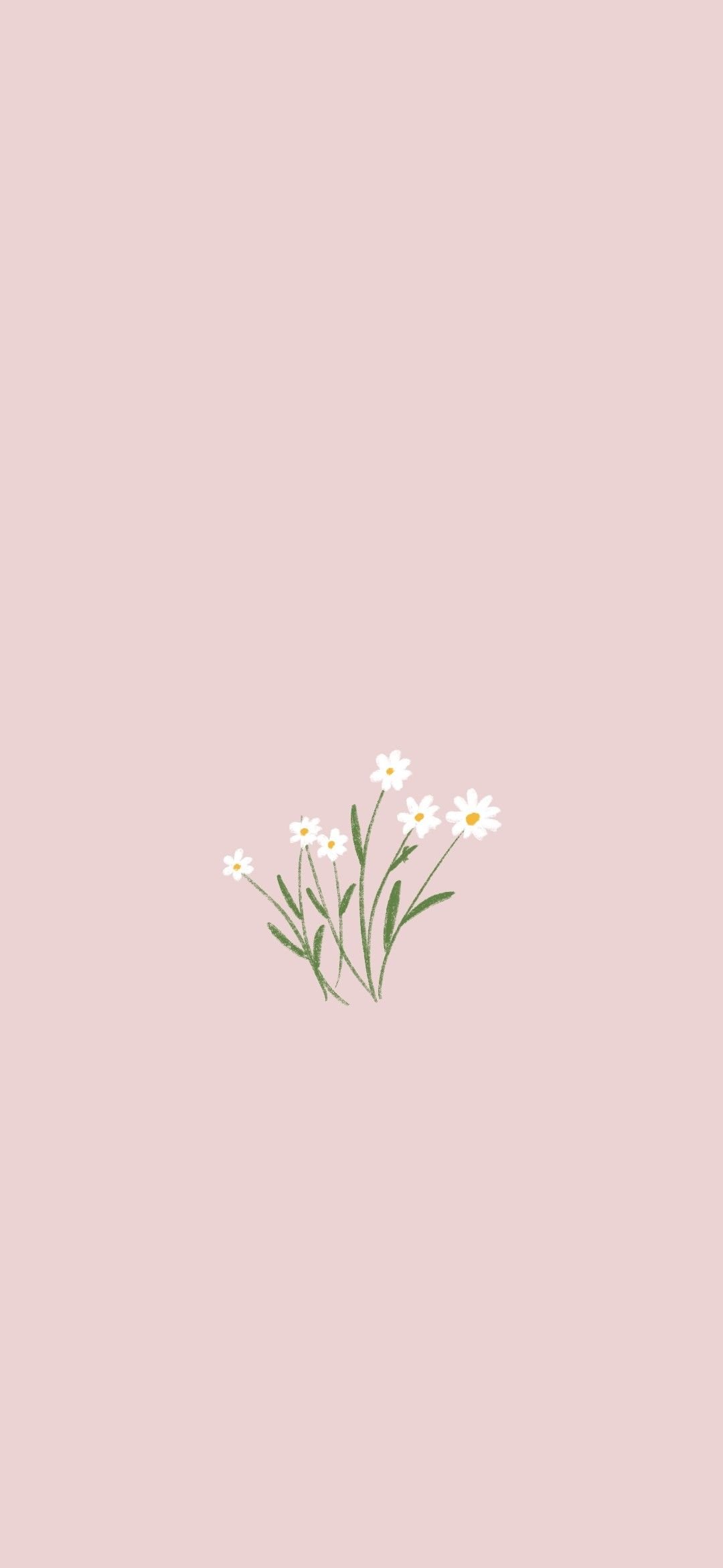 Spring Background, Pink Flowers Aesthetic Wallpaper Download