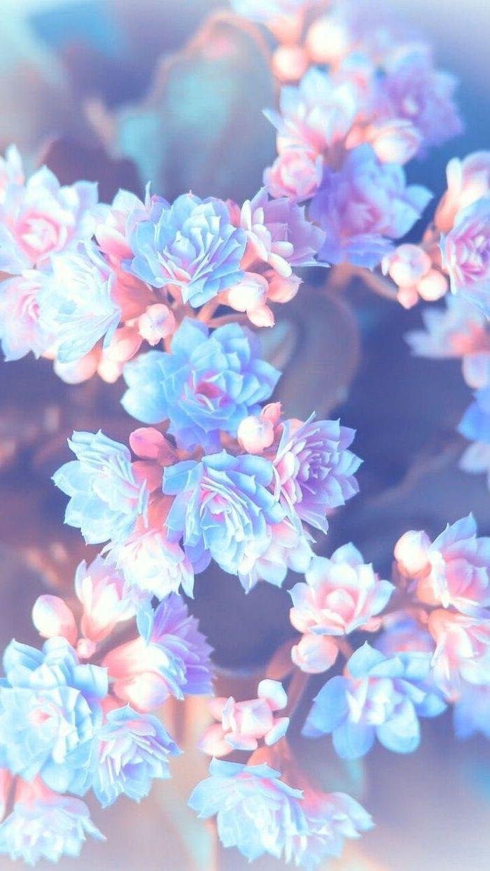 Free Floral Phone Wallpapers  Fancy Girl Designs