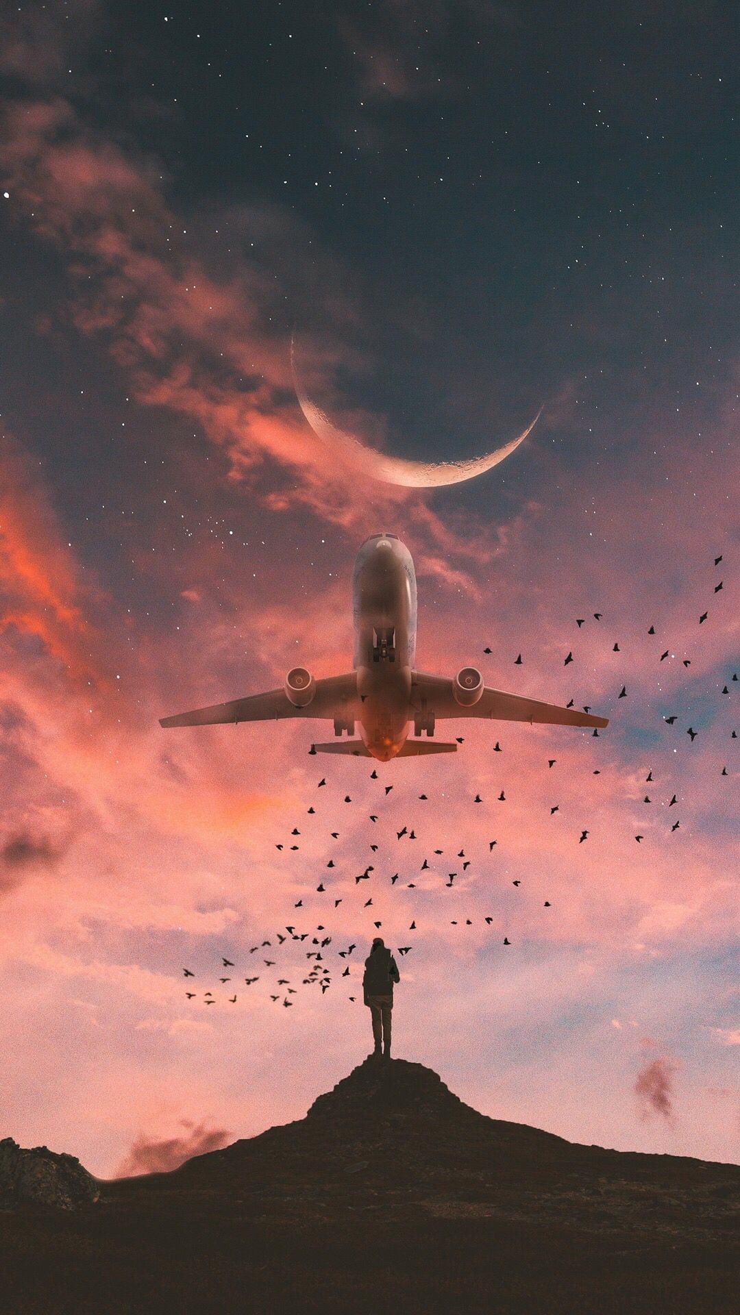 Aesthetic Flight