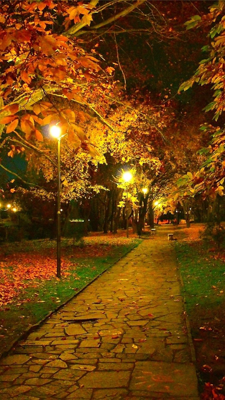 Autumn Night Park