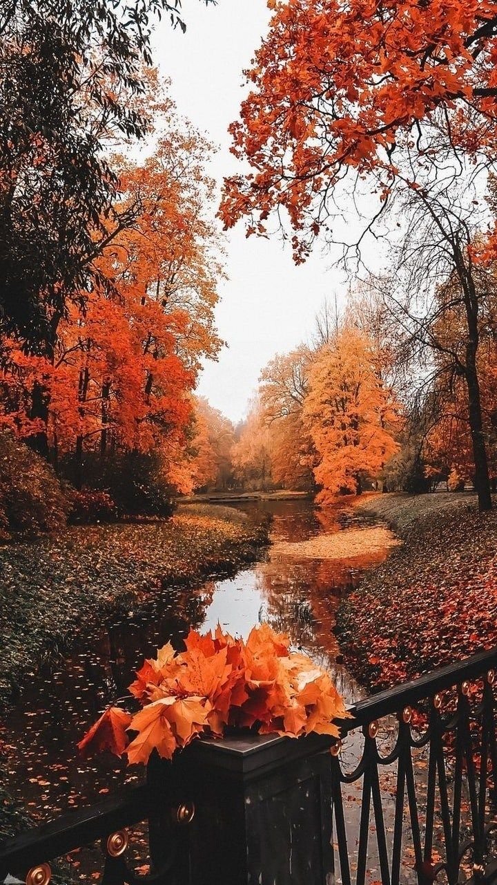 Autumn aesthetic Wallpapers Download | MobCup