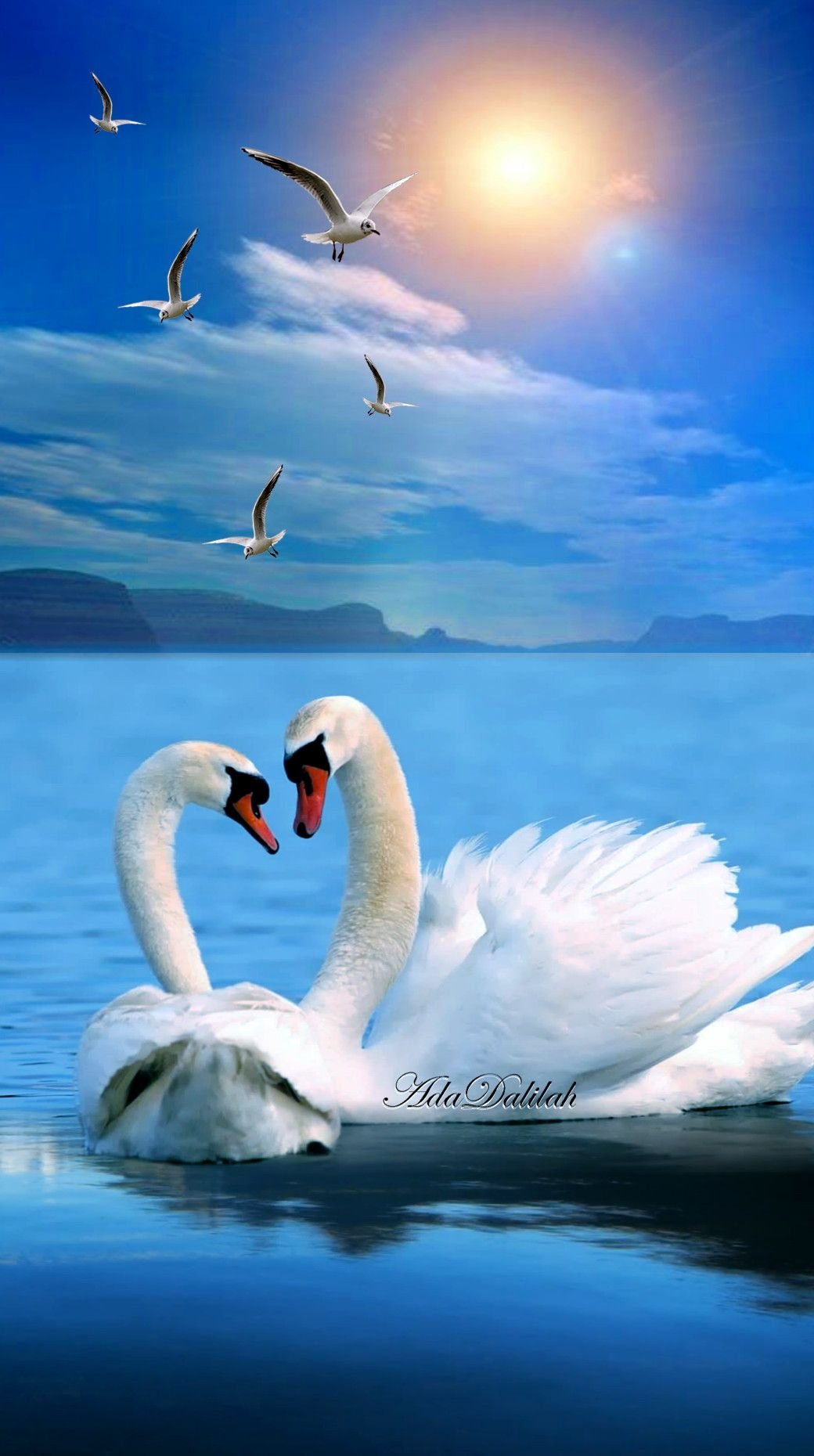 Loving Swan Wallpaper - Download to your mobile from PHONEKY