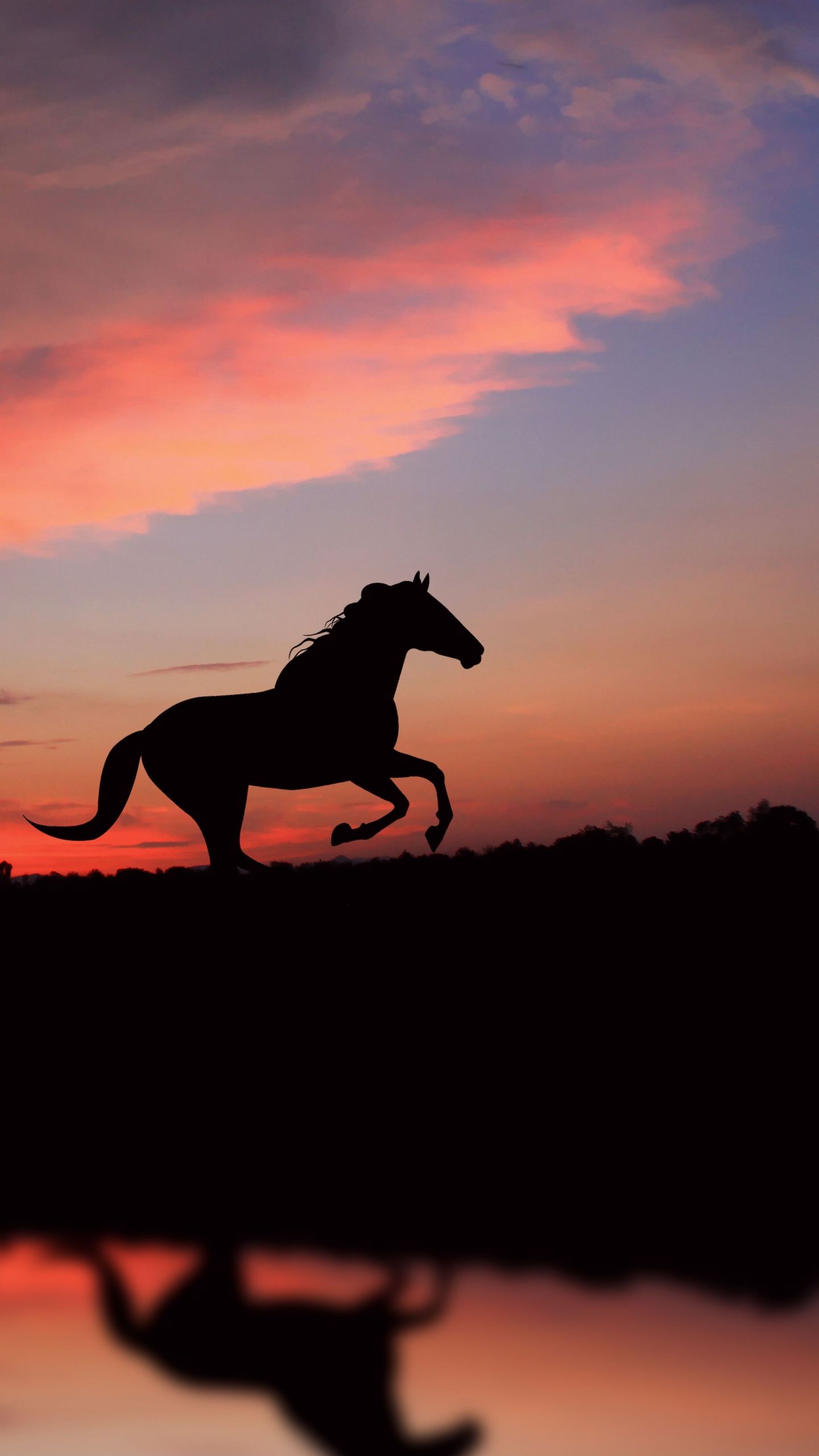 Aesthetic Sunset Horse Wallpaper Download | MobCup