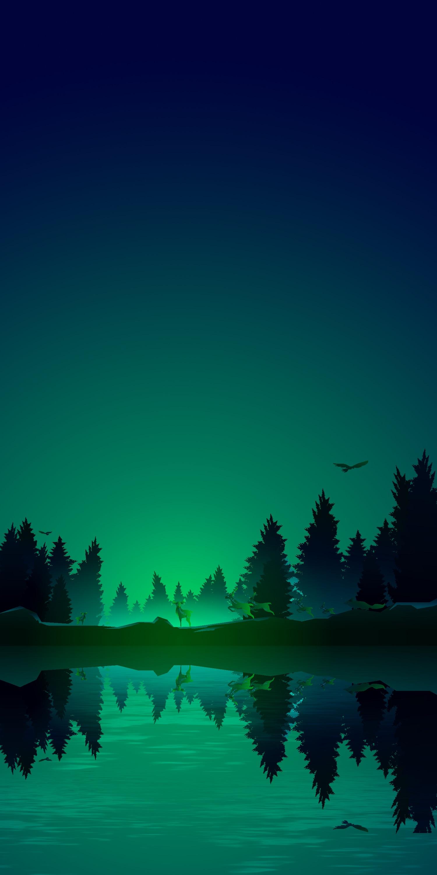 Green dark forest HD wallpapers  Pxfuel