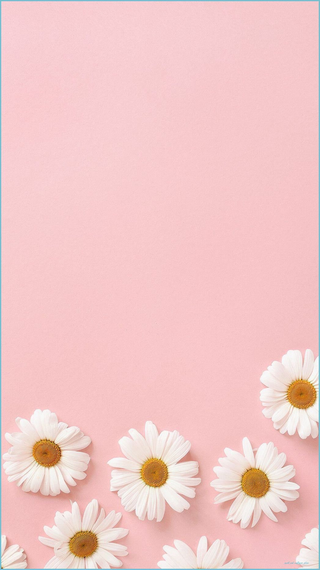 Pink Tumblr Aesthetic Wallpaper 