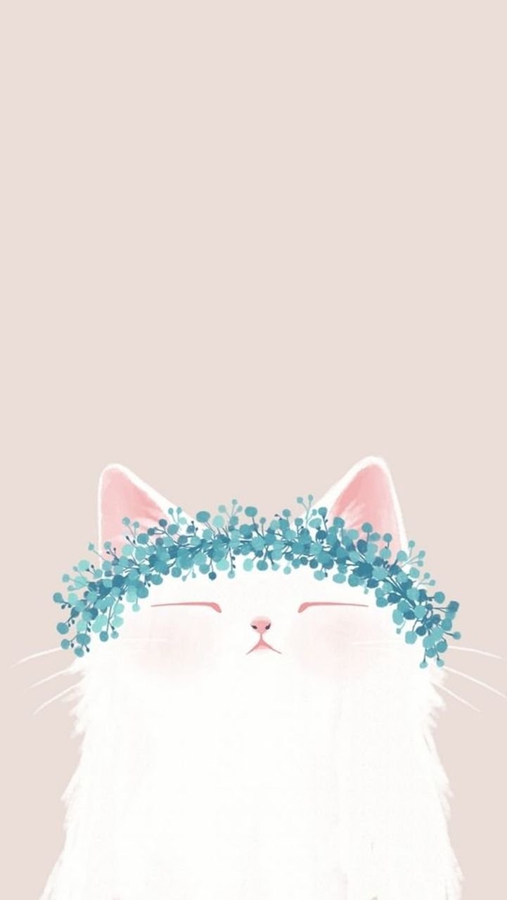 cute cats wallpaperTikTok Search