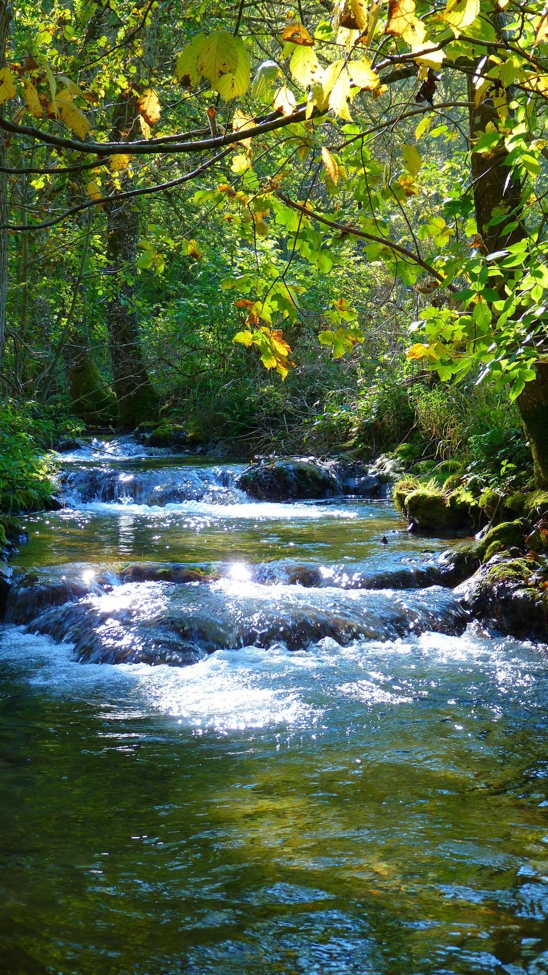 Beautiful Nature Water Flow
