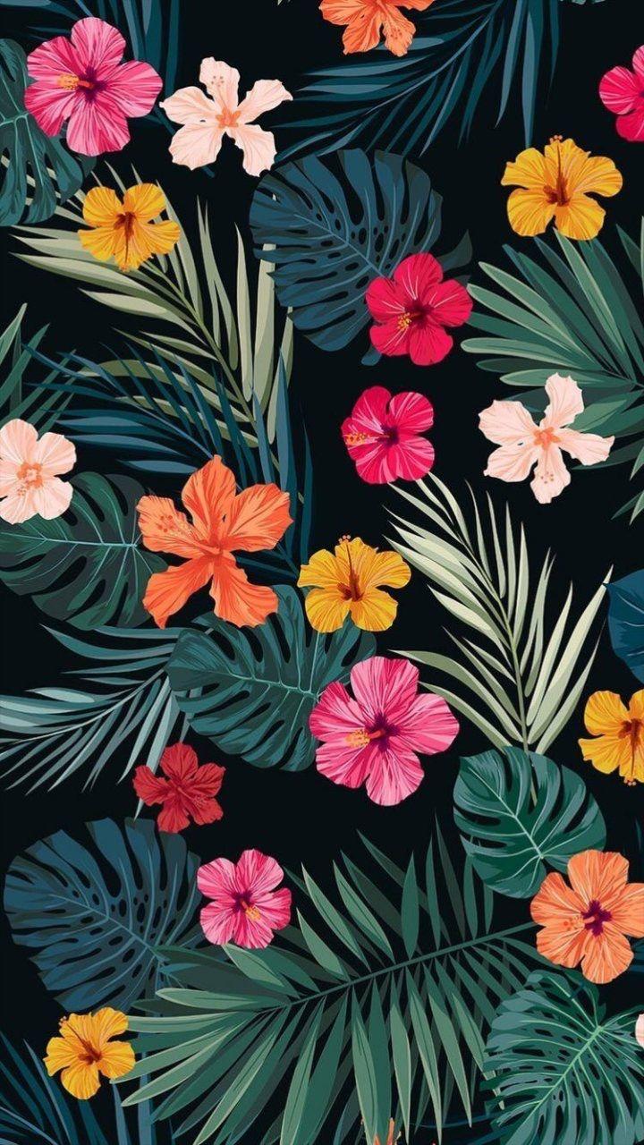 52400 Tropical Flowers Background Illustrations RoyaltyFree Vector  Graphics  Clip Art  iStock