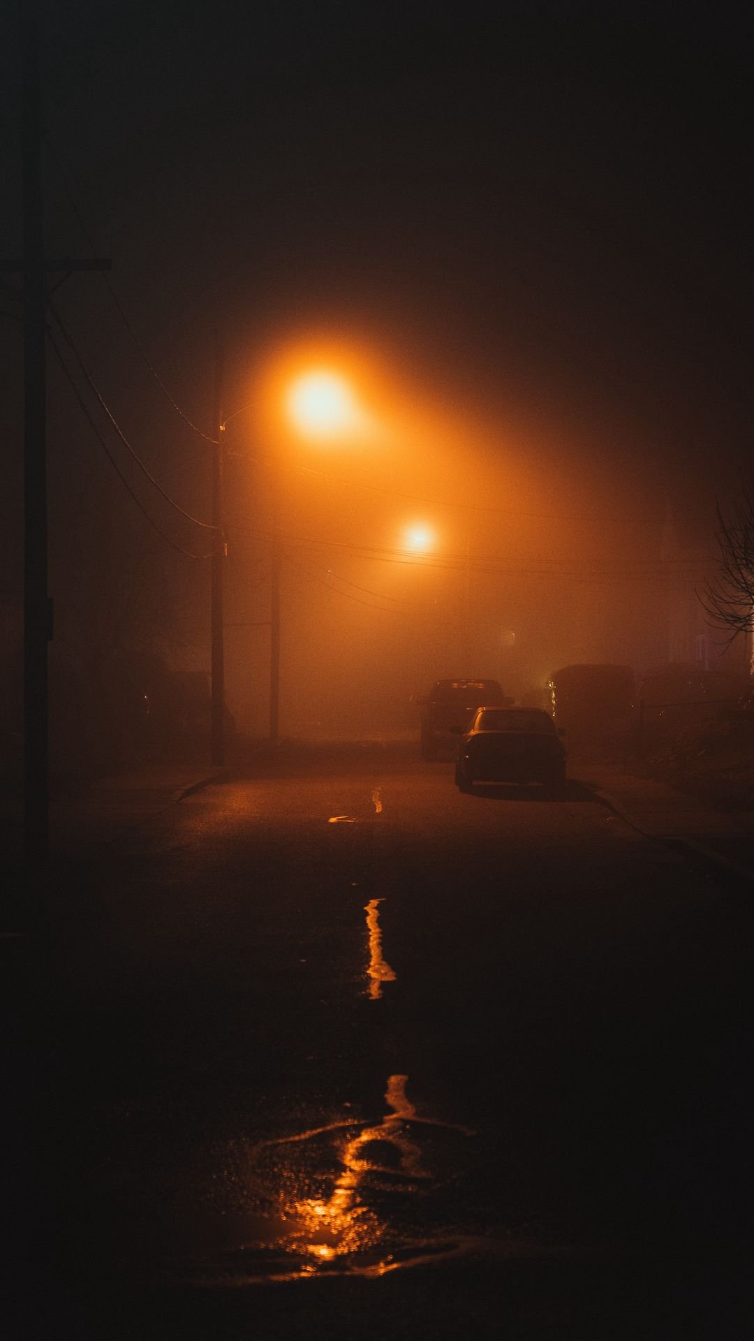 Foggy street light Wallpapers Download | MobCup